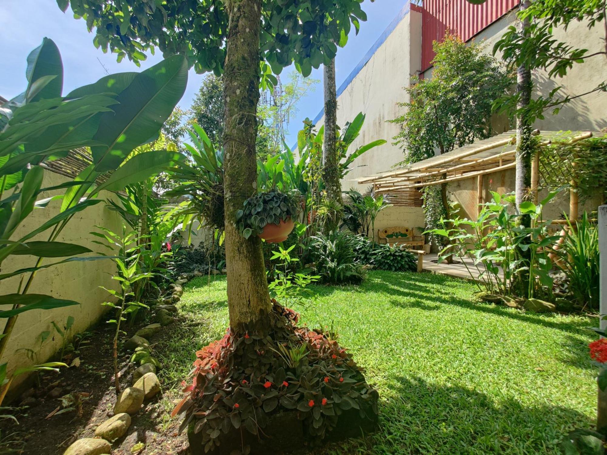 Casa De Lis Hotel & Tourist Info Centre Turrialba Exteriör bild