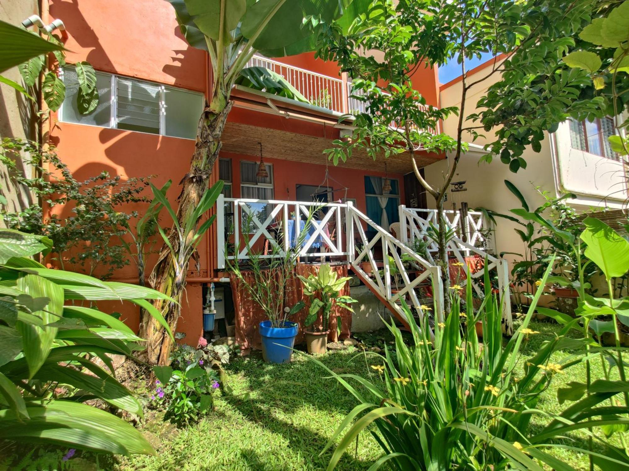 Casa De Lis Hotel & Tourist Info Centre Turrialba Exteriör bild
